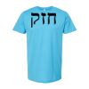 Unisex Fine Jersey T-Shirt Thumbnail